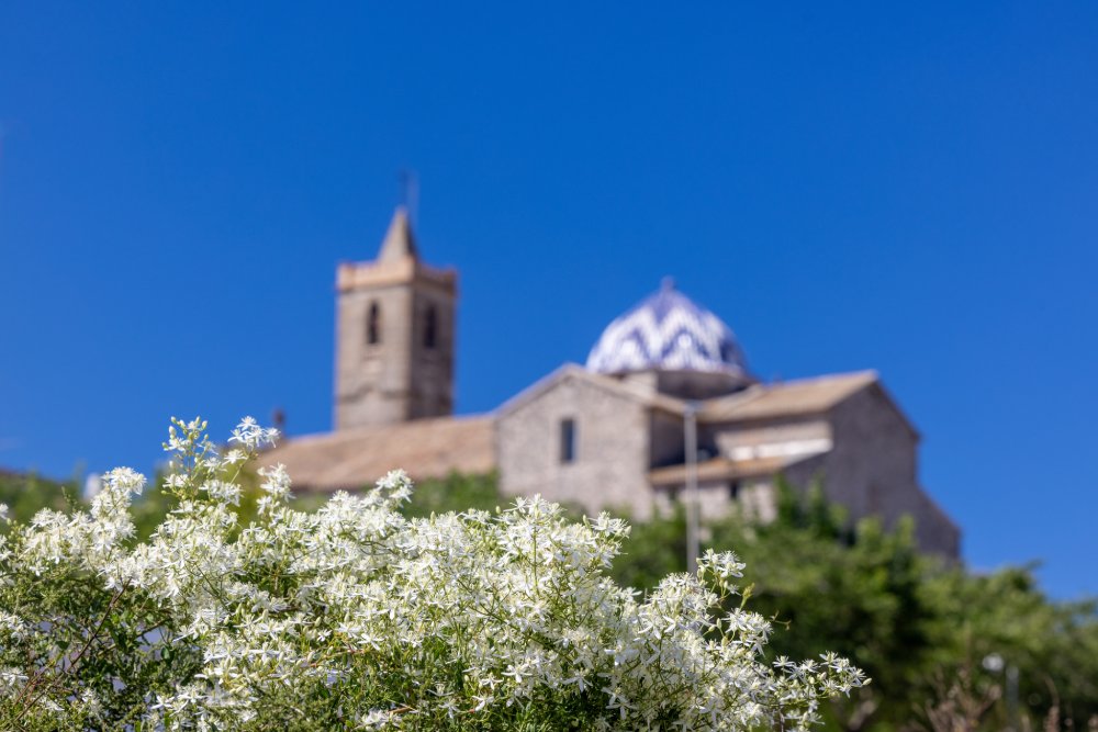 El Poble Nou de Benitatxell - Plantes