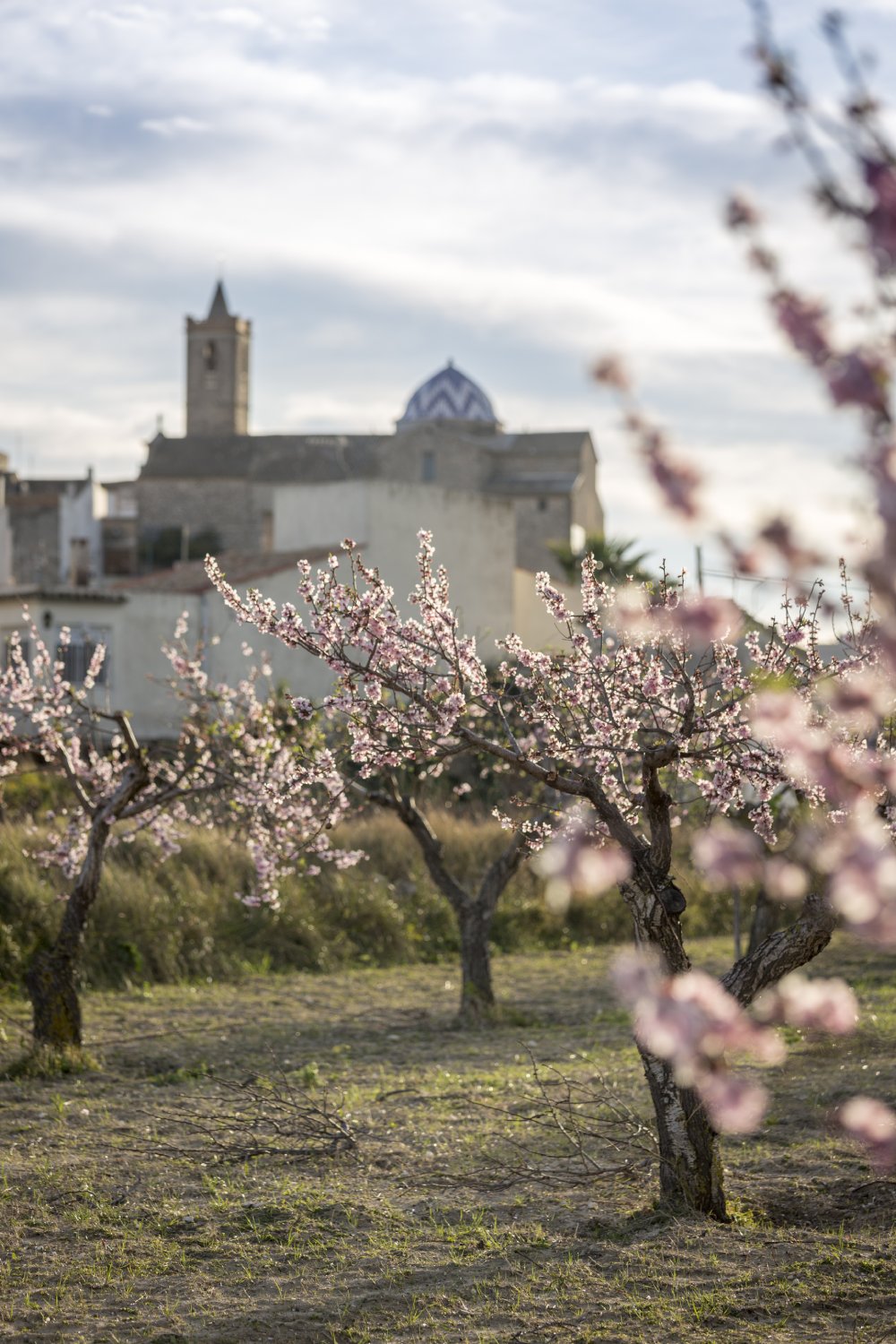 Poble Nou de Benitatxell